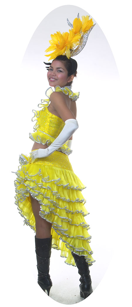 Sequin-Dresses/CT494-spanish-senorita-fancy-dress-flamenco-dancer-costume-b.jpg