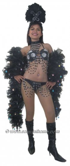 STC2049 VEGAS Showgirl Costume Headpiece & Huge Boa - Click Image to Close