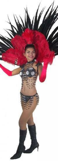 STC2024 FULL LAS VEGAS Showgirl FEATHER BACK HARNESS Costume - Click Image to Close