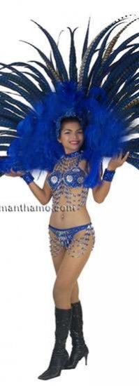 STC2020 FULL LAS VEGAS Showgirl FEATHER BACK HARNESS Costume - Click Image to Close