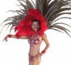 FULL LAS VEGAS Showgirl FEATHER BACK HARNESS Costume STC2022