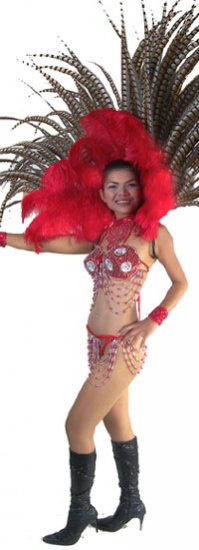 STC2021 FULL LAS VEGAS Showgirl FEATHER BACK HARNESS Costume - Click Image to Close