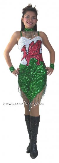 RM327 Sparkling ' Sequin Dance WELSH Flag, Costume, Dress - Click Image to Close