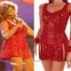 Tina Turner Sparkling Costume