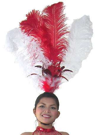 Las Vegas Show Girl Feather Headdress - In Any Colour - HD159 - Click Image to Close