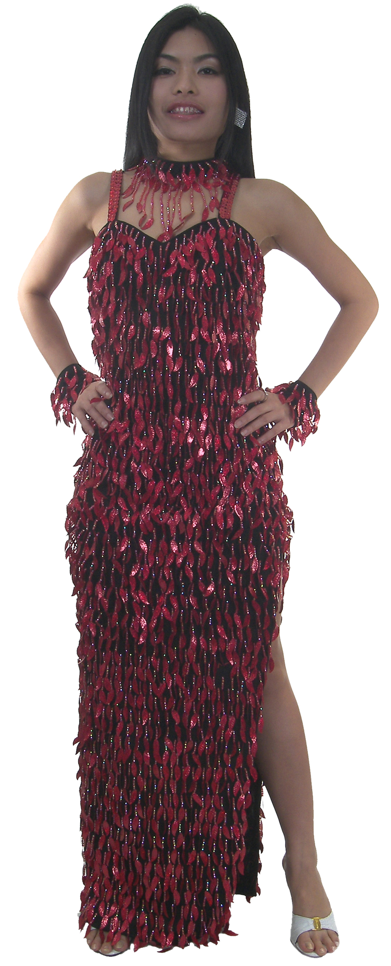 new-dress-designs/TM2013-long-sequin-fringe-latin-dress.jpg