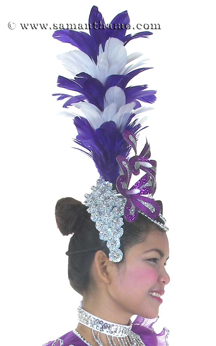 https://michaeljacksoncelebrityclothing.com/ready-made-head-dresses/HD170-las-vegas-showgirl-head-dress.jpg