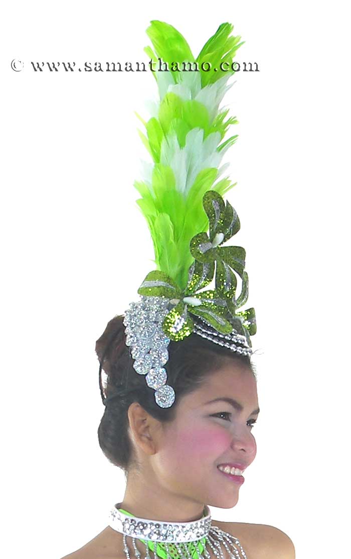 https://michaeljacksoncelebrityclothing.com/ready-made-head-dresses/HD171-fancy-bird-las-vegas-show-girl-headdress.jpg