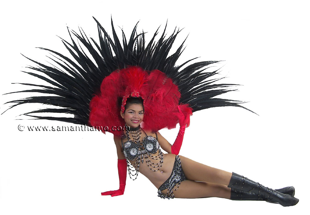 https://michaeljacksoncelebrityclothing.com/stage-cabaret-circus/RT04-showgirl-drag-queen-harness.jpg